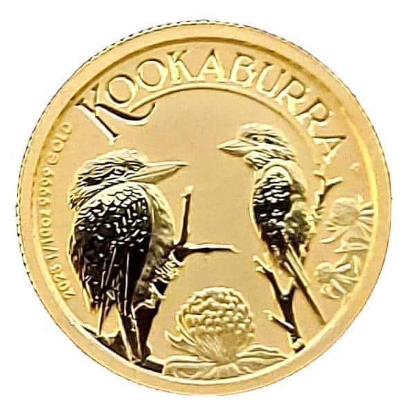 GOLD KOOKABURRA
