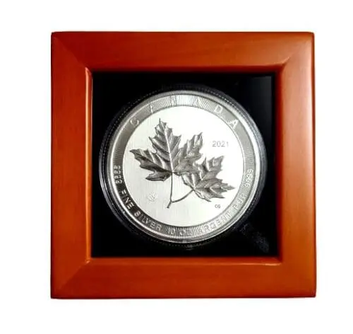 Canada 10 oz Silver Magnificent Twin Maple Leaf Coin