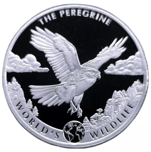 2024 Peregrine Falcon 1 oz Silver Coin BU - Republic of Congo - Image 3