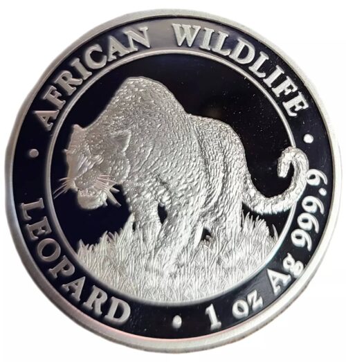 2023 Somalia 1 oz Silver African Wildlife Leopard BU.9999 - Image 3