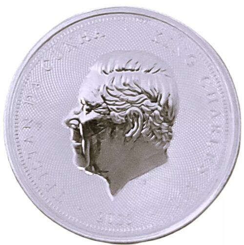 2023 Tristan da Cunha 2oz Silver Una and the Lion Coin - Image 3