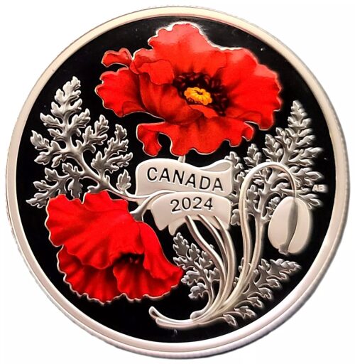 2024 Canada 1 oz Silver Remembrance Day Colorized Proof Coin