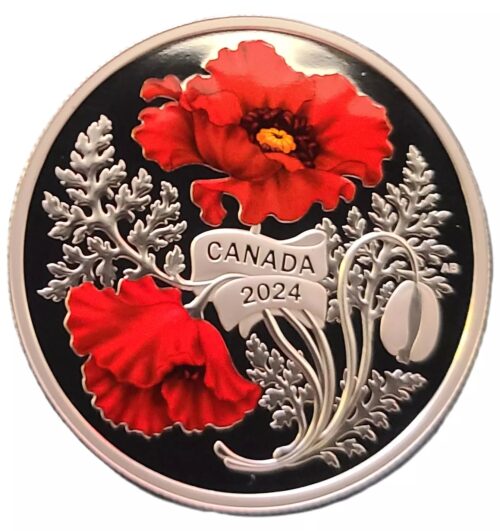 2024 Canada 1 oz Silver Remembrance Day Colorized Proof Coin - Image 4